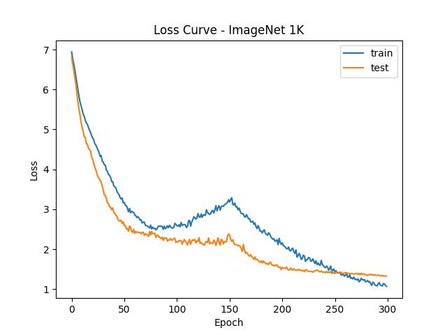 Loss Curve